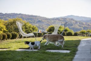 Tenuta Moncarlino Exclusive Accomodation in Monferrato Outdoor