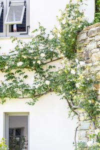 Tenuta Moncarlino Exclusive Accomodation in Monferrato Exterior