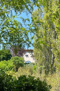 Tenuta Moncarlino Exclusive Accomodation in Monferrato Outdoor